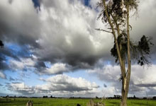 又损失两员大将！拜仁无奈遭遇伤病潮，欧冠对手们已经偷着乐.