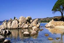 蓝鲸体育：[图]英超-萨拉赫破门加克波建功 利物浦4-2热刺.